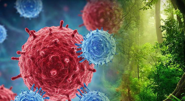 Existe-t-il un remède contre les maladies auto-immunes ?