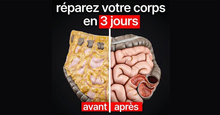 Expert en anti-âge : arrêtez immédiatement de toucher vos tickets de caisse ! La méthode rapide pour réduire la graisse viscérale !