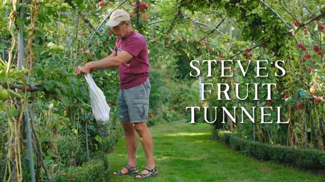 Vue d'ensemble du tunnel comestible de 40 mètres avec ses arches feuillues.