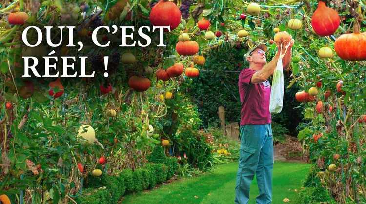 Il a créé un tunnel comestible de 40 mètres : citrouilles, poires et bien plus encore !