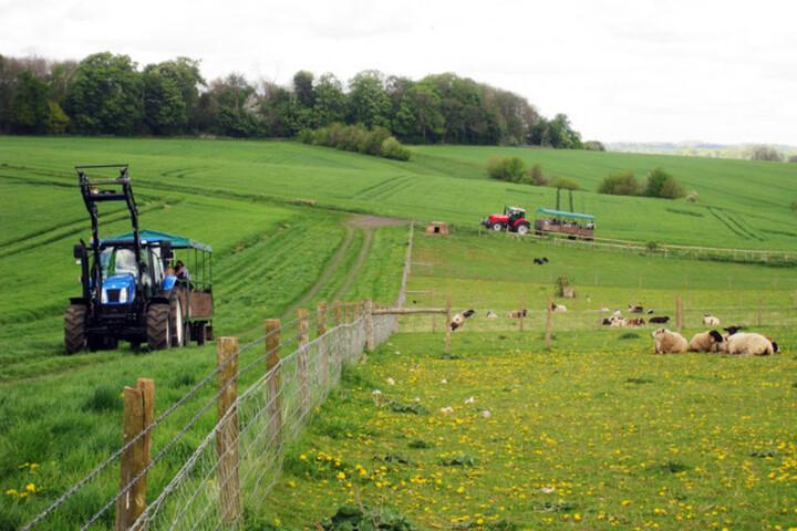 L'agriculture bio et locale pourra nourrir l'Europe en 2050, selon une étude scientifique