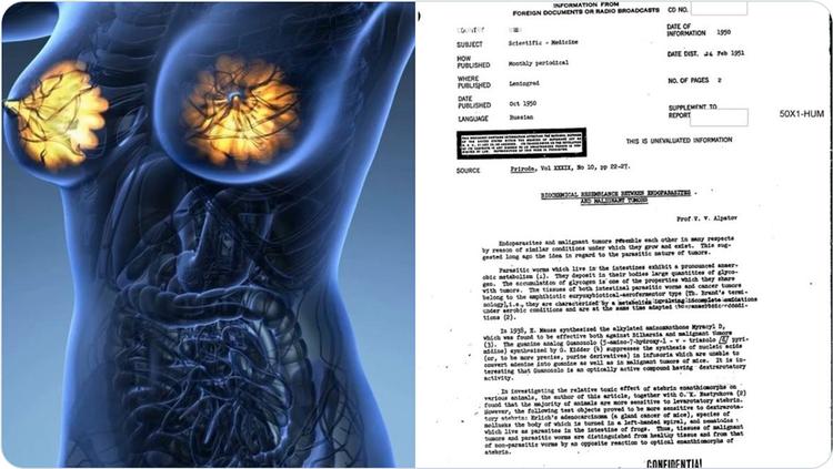 La CIA fait face à de vives réactions après la déclassification, au bout de 60 ans, d'un document caché sur un remède potentiel contre le cancer