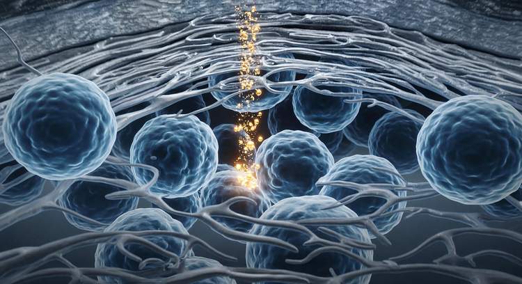 Le DMSO : ce transporteur cellulaire méconnu validé par plus de 1000 études scientifiques