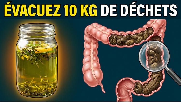 Les 5 meilleures huiles pour éliminer les déchets intestinaux et faire fondre les graisses tenaces (à essayer dès ce soir)