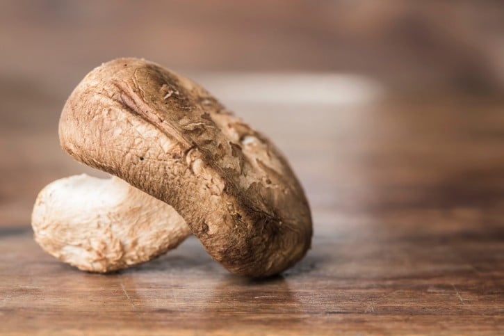 Papillomavirus : le traitement à partir d'un champignon japonais porte ses fruits