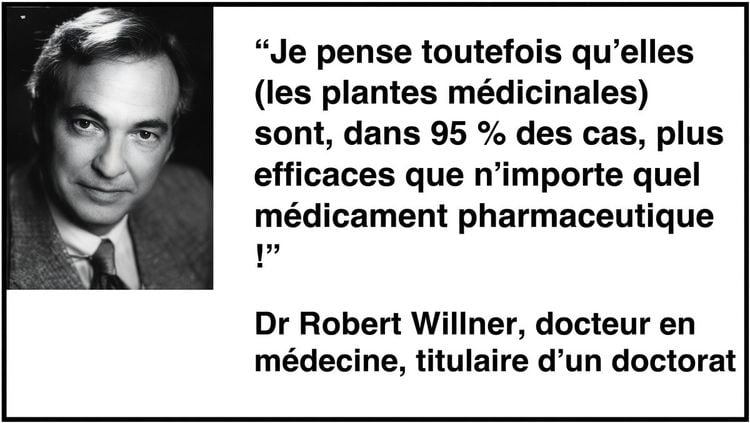 Plantes médicinales contre le cancer