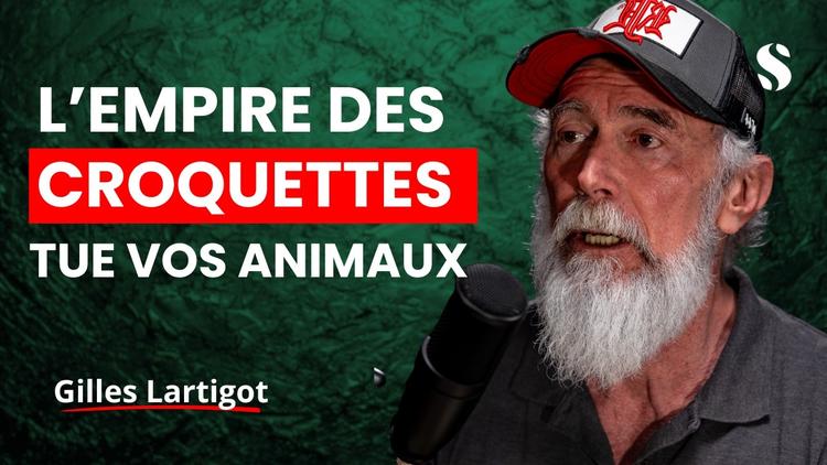 Pourquoi votre vétérinaire vous recommande des croquettes (et ne vous dit pas tout) Gilles Lartigot