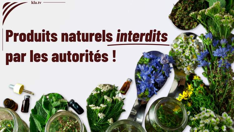 De nombreuses victimes d’un arbitraire administratif ou judiciaire contactent régulièrement Kla.TV pour témoigner de situations où les institutions publiques semblent agir sans réelle transparence. Un cas récent illustre particulièrement bien cette tendance : celui d’une entreprise familiale suisse spécialisée dans les produits naturels.