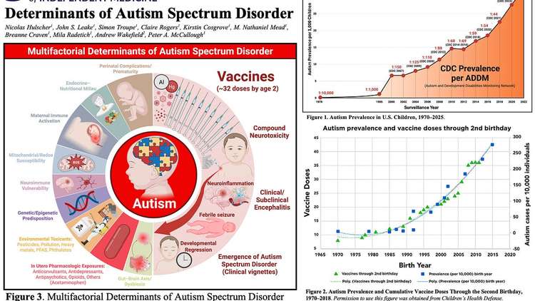 DERNIÈRE MINUTE : Une étude de référence évaluée par des pairs révèle que la vaccination est un facteur de risque majeur d'autisme