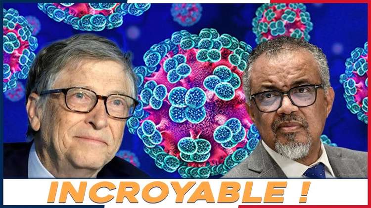 Hantavirus : ce que j’ai découvert est absolument incroyable !