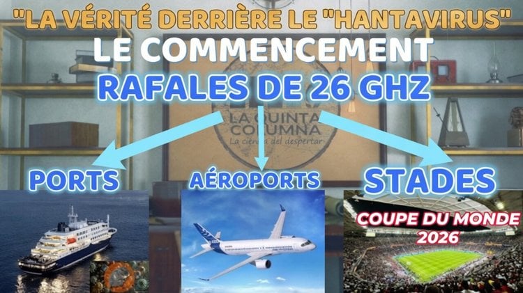 La vérité derrière l’hantavirus