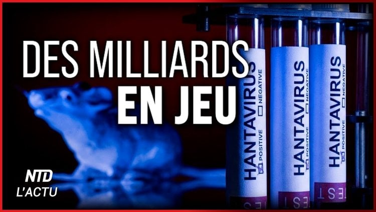 Qui profite vraiment de la crise du Hondius ? Enquête.