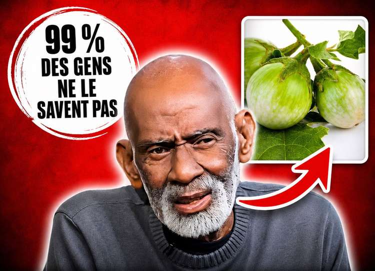CE RÉGIME fera disparaître TOUTES les maladies pour toujours | Le programme de guérison secret du Dr Sebi