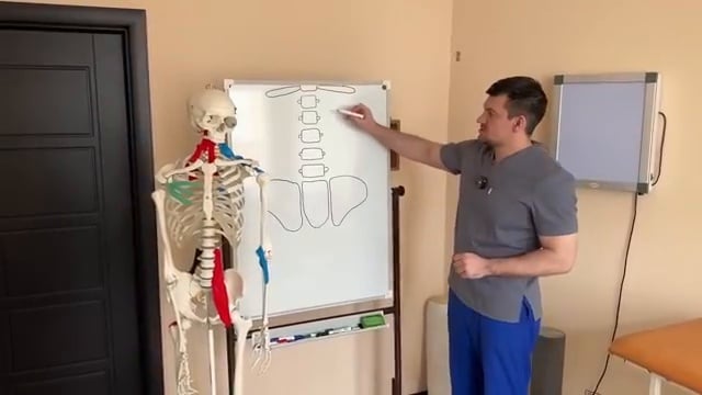 Le docteur dessine sur le tableau blanc l'emplacement et les connexions du muscle iliopsoas le long des vertèbres lombaires.