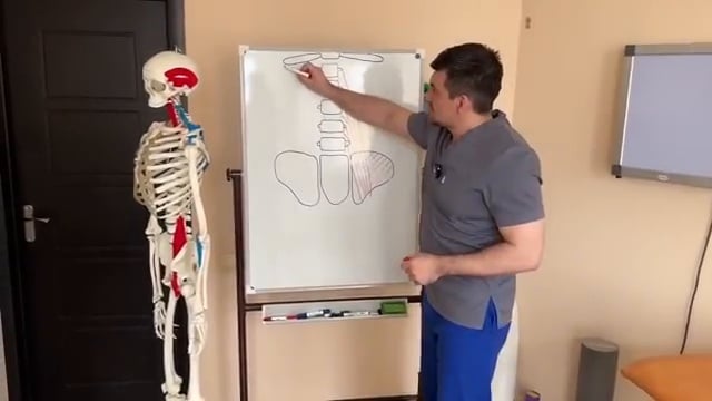 Le docteur illustre sur le tableau blanc la position du muscle carré des lombes (quadratus lumborum) par rapport à la 12ème côte.