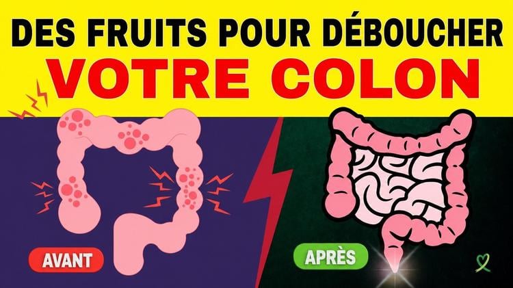 7 fruits qui pourraient contribuer à la santé du côlon et à un transit intestinal régulier