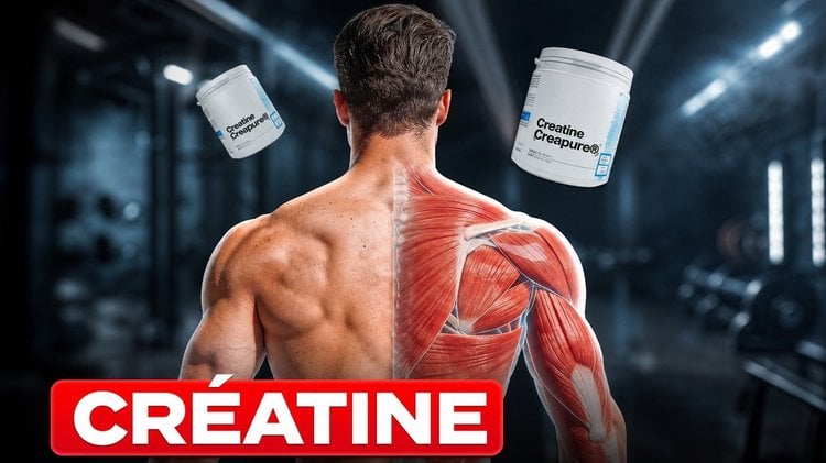 Créatine : ce qu'on ne vous dit pas