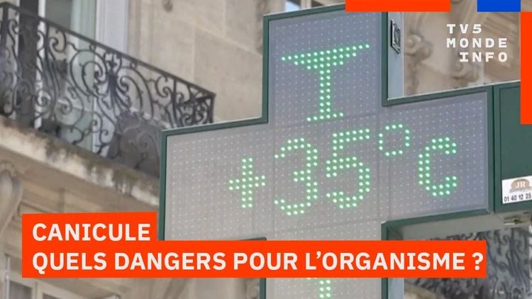 La canicule, une bombe à retardement pour la santé et l'organisme