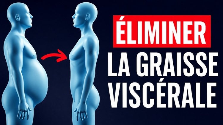 La méthode la plus rapide pour réduire la graisse viscérale (prouvée scientifiquement)