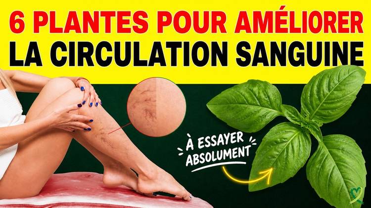 Les 6 meilleures plantes pour améliorer la circulation sanguine dans les jambes et les pieds