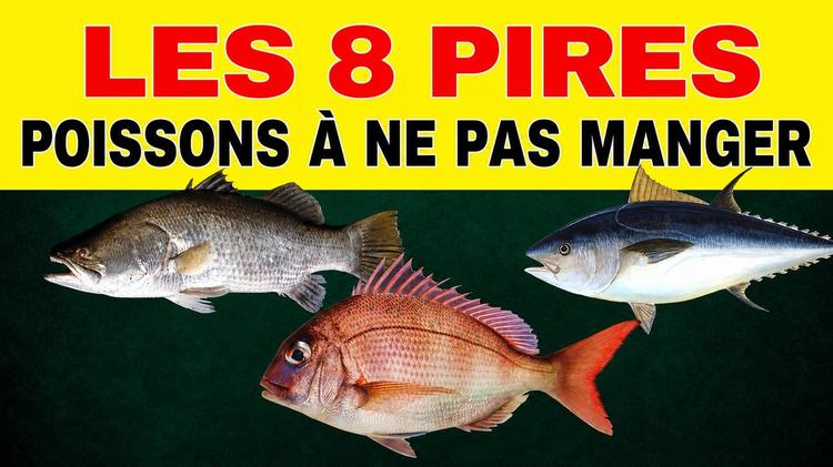 Les 8 pires poissons à ne pas manger